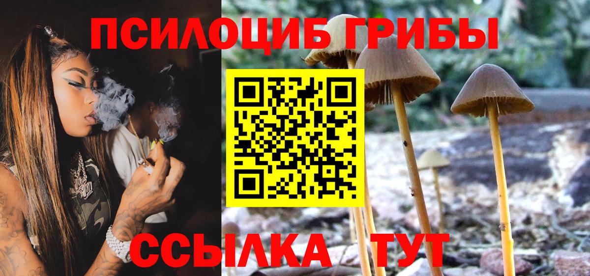 Галлюциногенные грибы Cubensis  Вход с VPN  закладки  Дедовск 